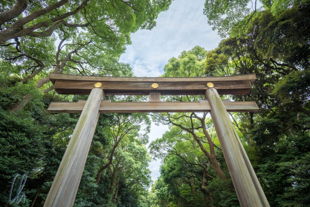 Eingangs-Torii des Meiji-Schreins