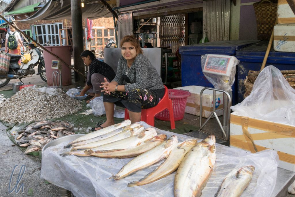 Auf dem Fischmarkt in Mandalay