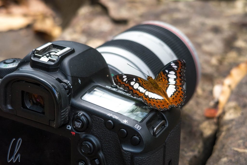 Kamera mit Schmetterlingseffekt