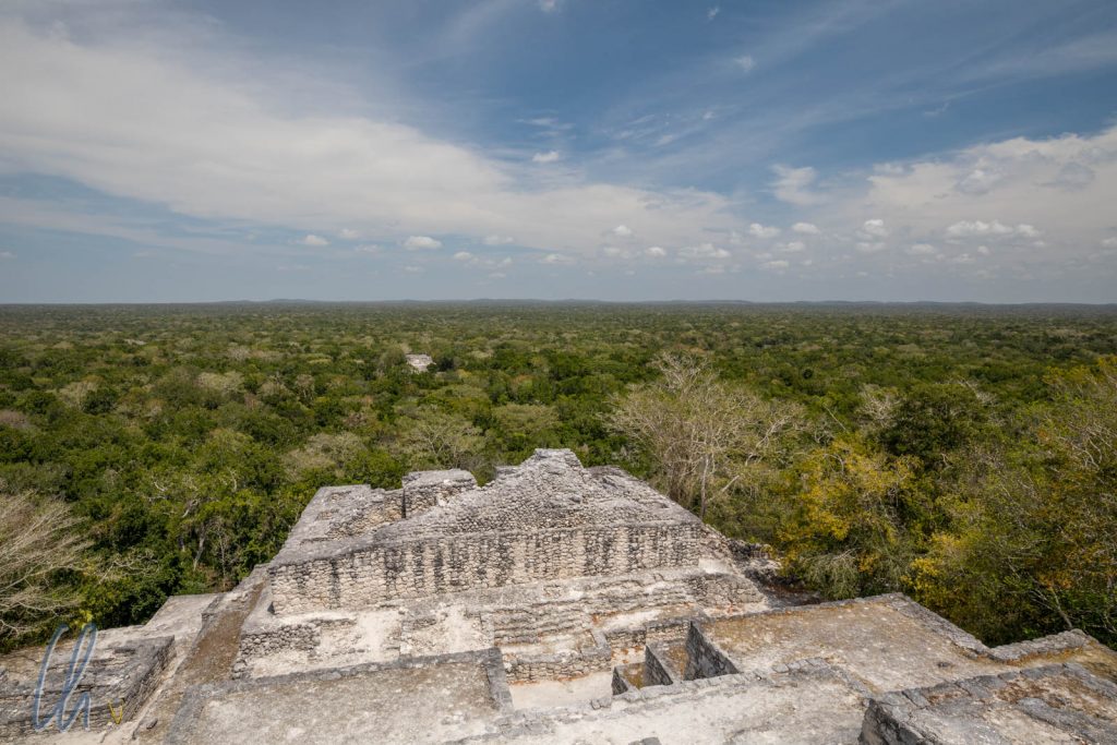 Blick von einer der Pyramiden von Calakmul