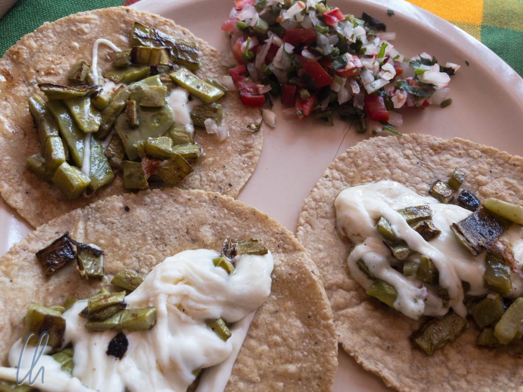 Tacos, hier mit Nopale-Kaktus und Käse