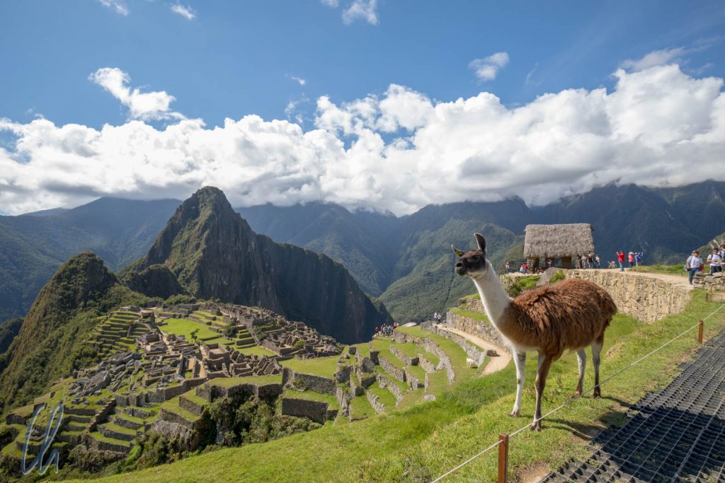 Eine Inka-Stätte für eine Lama