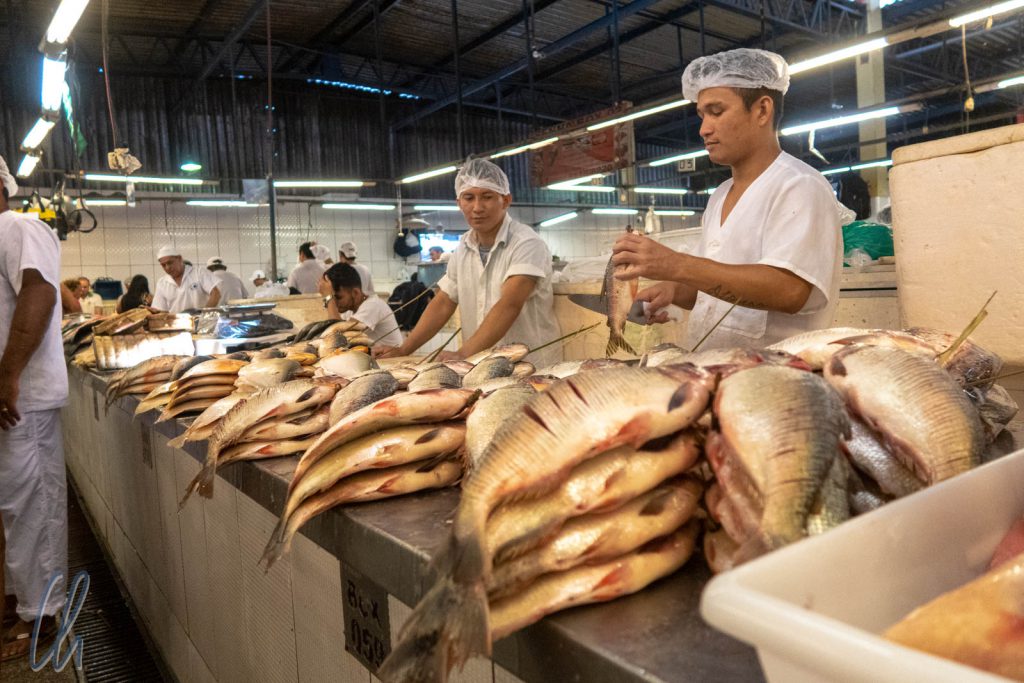 Die Haut der Fische wird eingeritzt, damit sich beim marinieren und Grillen der volle Geschmack verbreitet.