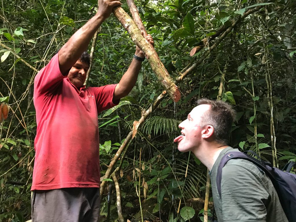 Die dicke Liane spendet einen Dschungel-Drink (Foto von <a href="https://www.instagram.com/amazonemotions/">Leo</a>).