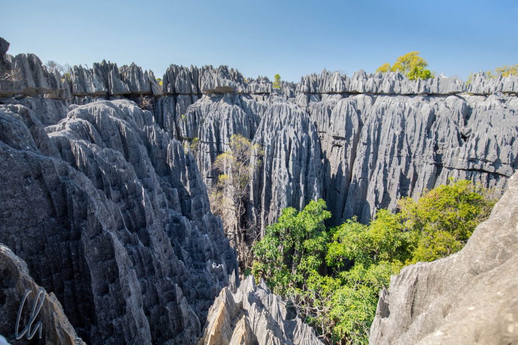Der Nationalpark Tsingy de Bemaraha