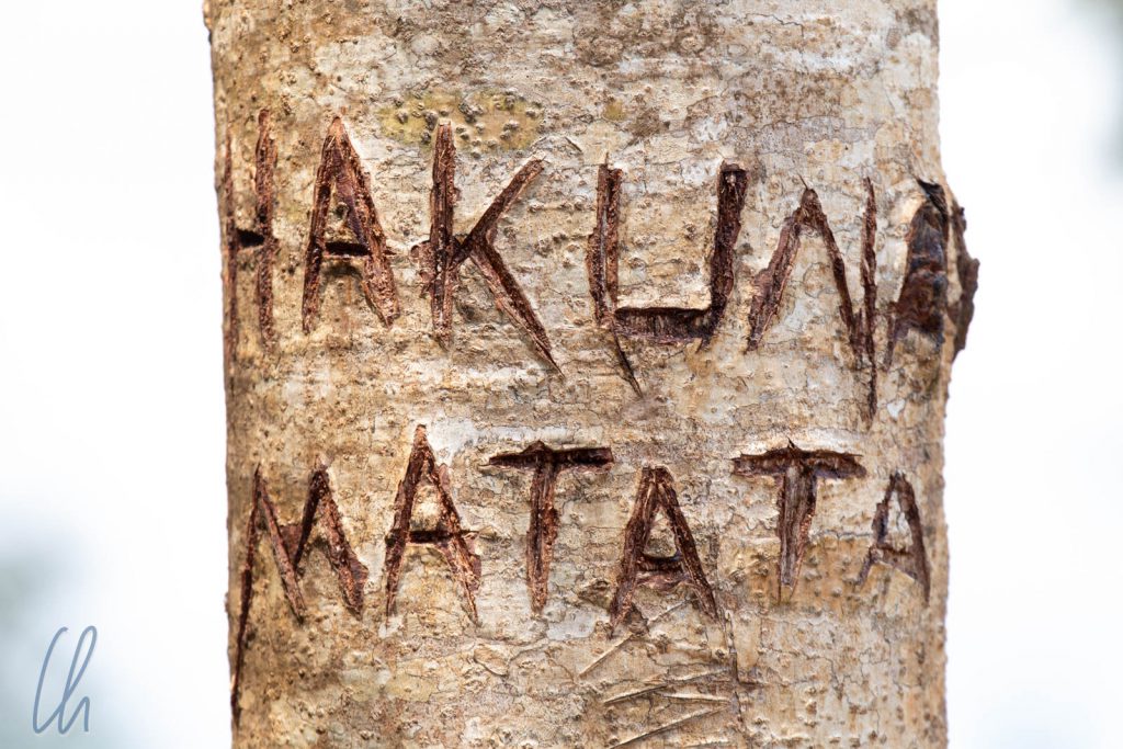 Hakuna Matata: Kein Problem!