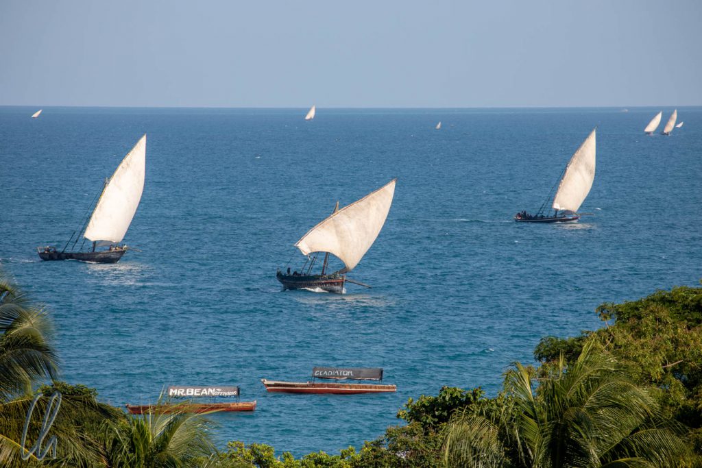 Typische Segelboote vor Sansibar. Unser Fähre war deutlich moderner.