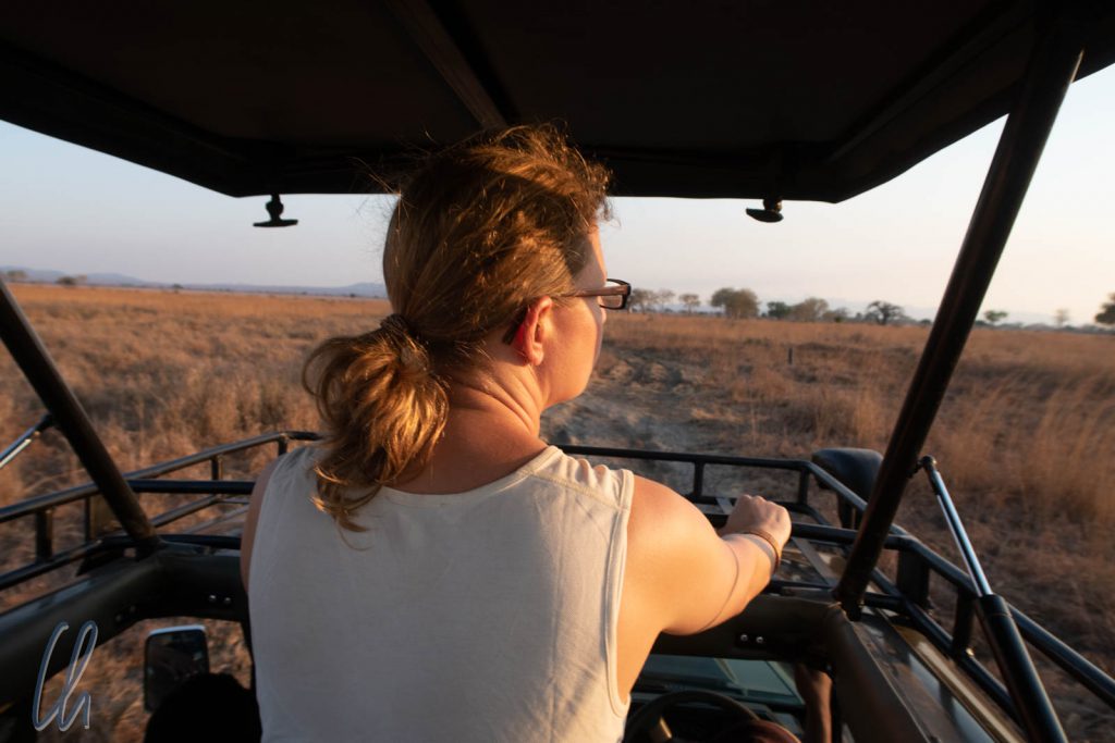 Bester Ausblick von Safari-Jeep