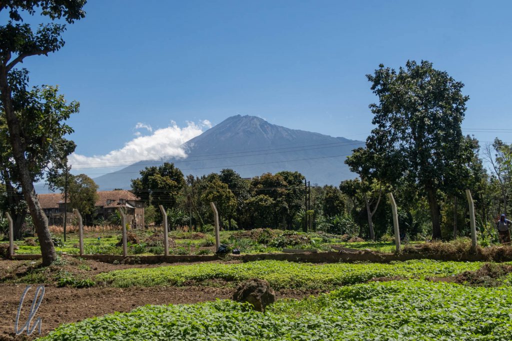 Auch in direkter Nachbarschaft unseres Hostels sahen wir den majestätischen Mount Meru