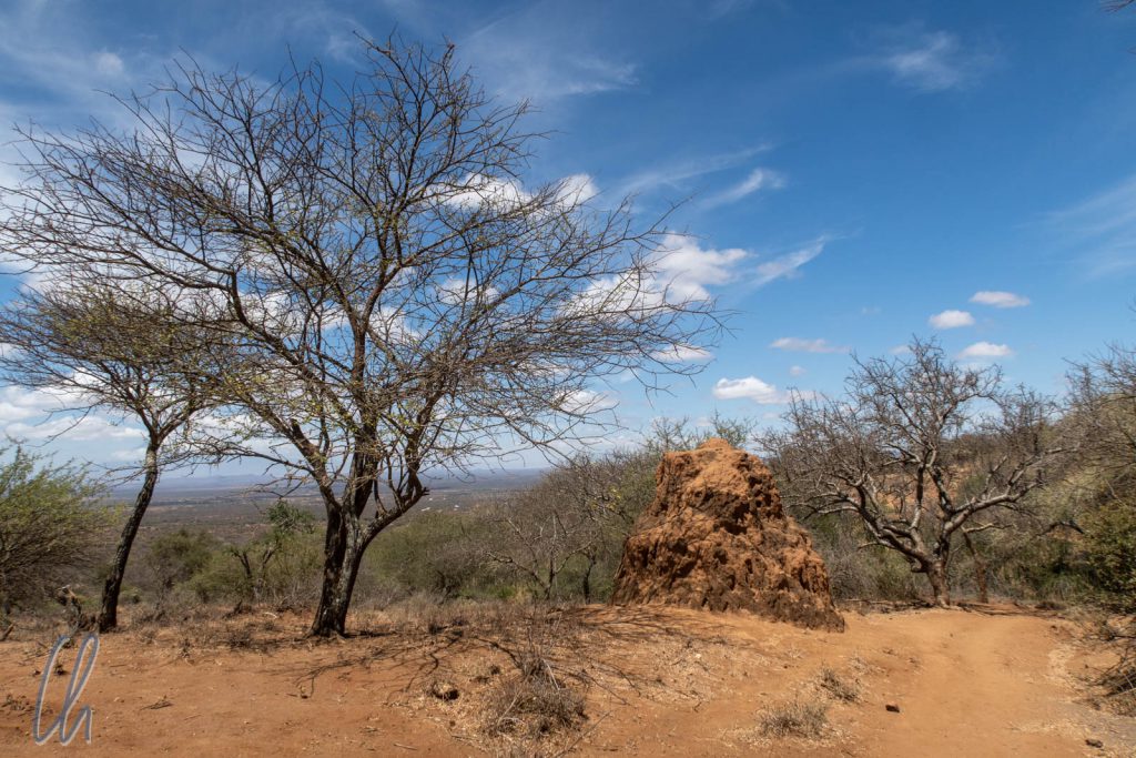 Im Norden von Tansania, nahe der Grenze zu Kenia, ist das Land trocken und nur ein bisschen grün.
