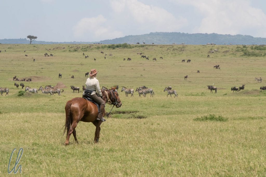 Mona und Alfredo beobachteten die Herden in der Masai Mara.