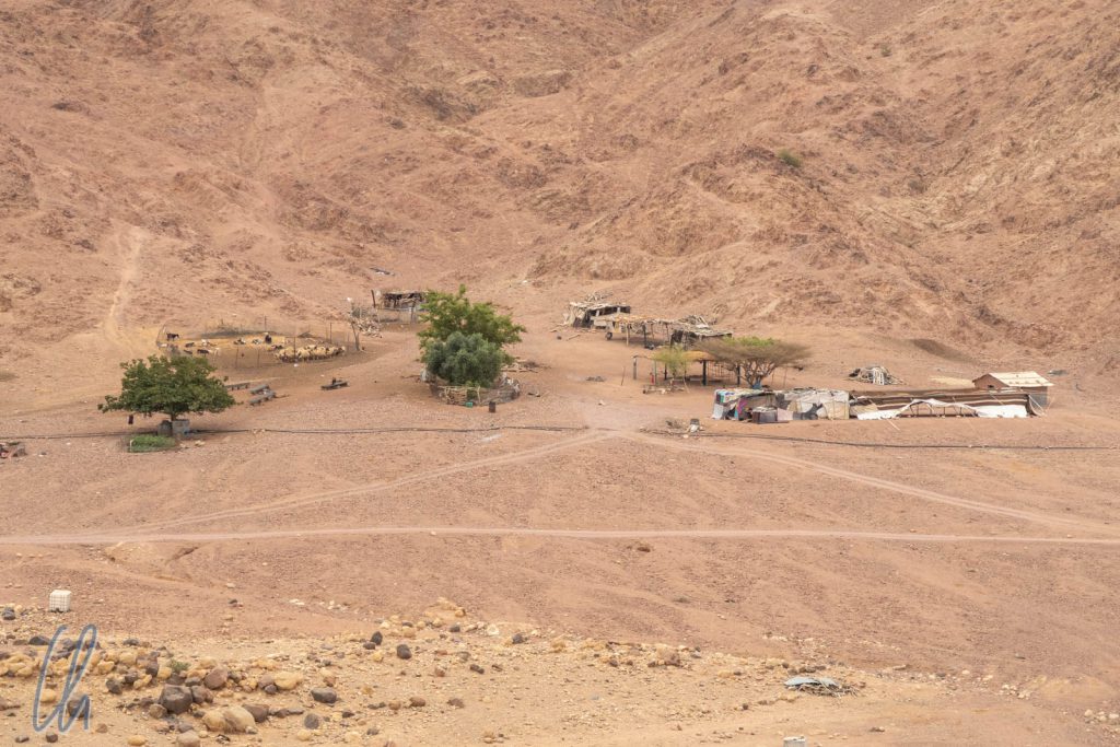 Ein modernes Beduinendorf in der Nähe der Lodge mit Wasserleitung und Gehegen für die Ziegen