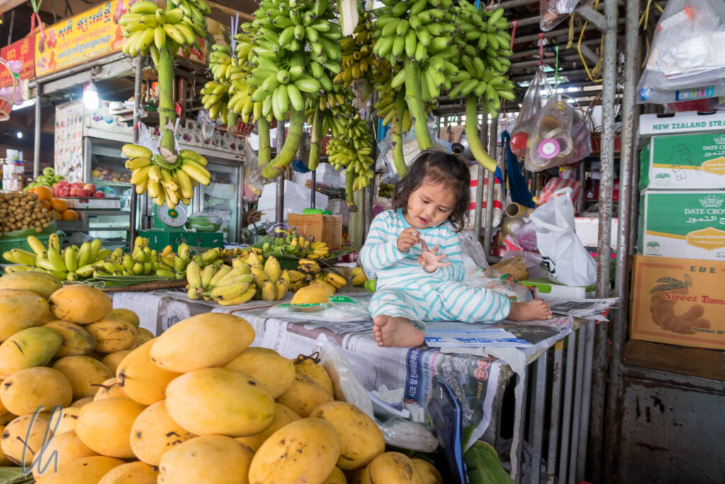 Einkaufen einmal anders, ein Stand mit Früchten in Phnom Penh, Kambodscha