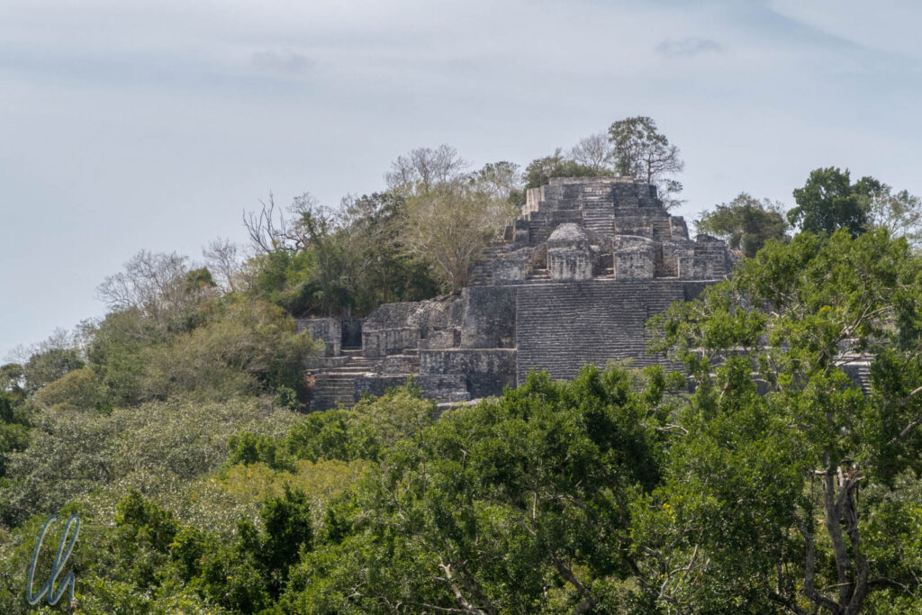 Calakmul, im heutigen Mexiko gelegen, war eine bedeutende Maya-Metropole, die der Dschungel schon lange wieder zurückerobert hat.