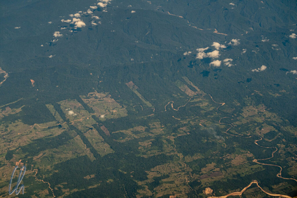 Eines unserer ersten Bilder aus Brasilien. Aus der Luft sahen wir deutlich, wie für die Landwirtschaft Schneisen in den Urwald getrieben werden.