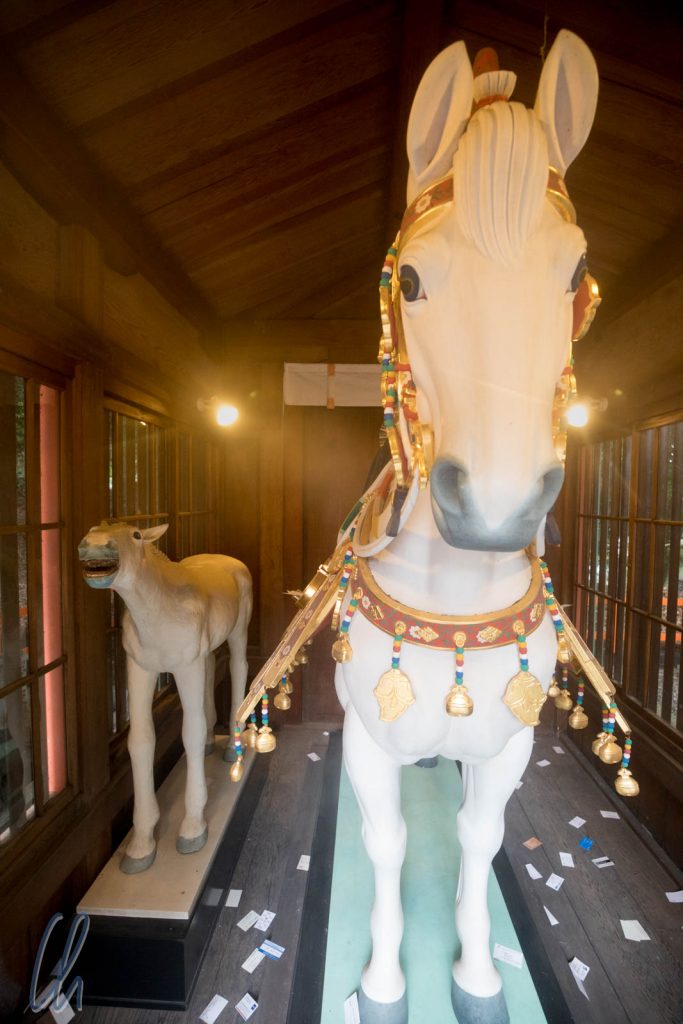 Das weiße Pferd, heiliges Tier im japanischen Shintoismus, auf ihm reitet der Sonnengott ...