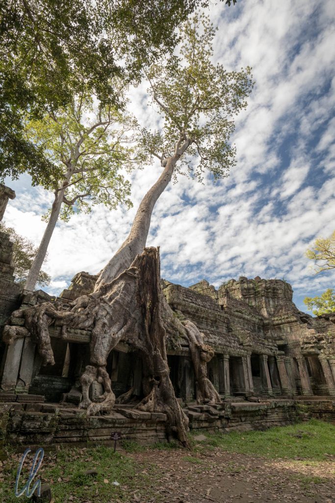 Dschungel-Tempel: Preah Khan