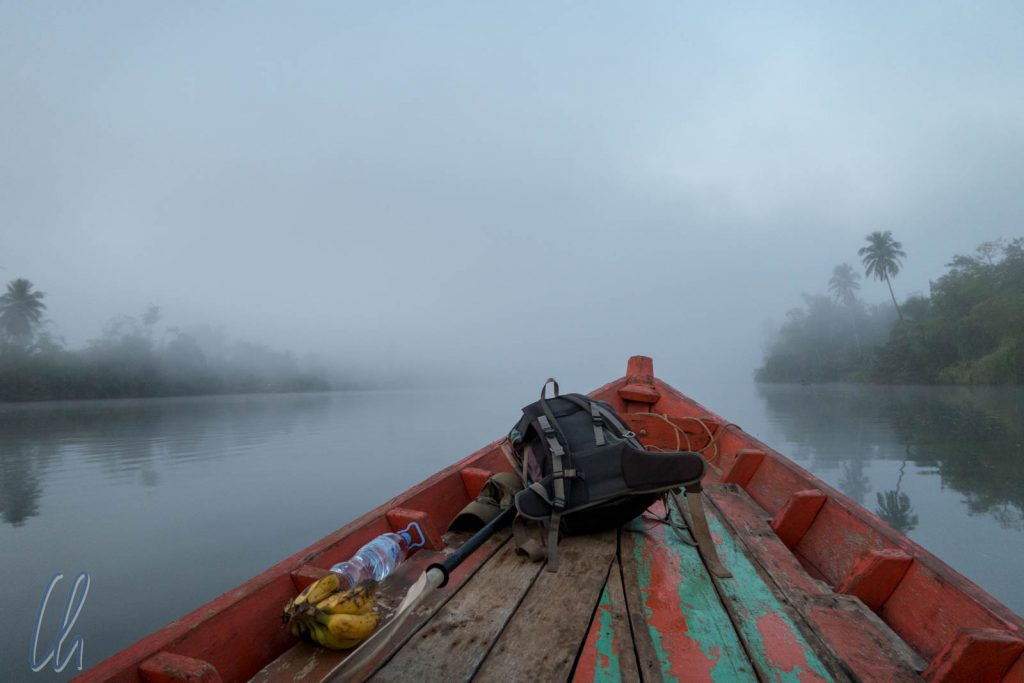 Morgennebel auf dem Phipot-Fluss