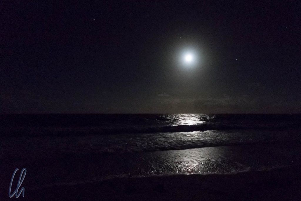 Mondschein am Strand von Mon Repos