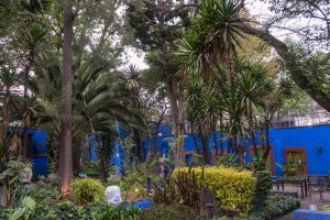 Zu Besuch bei Frida Kahlo, im Garten der Casa Azul