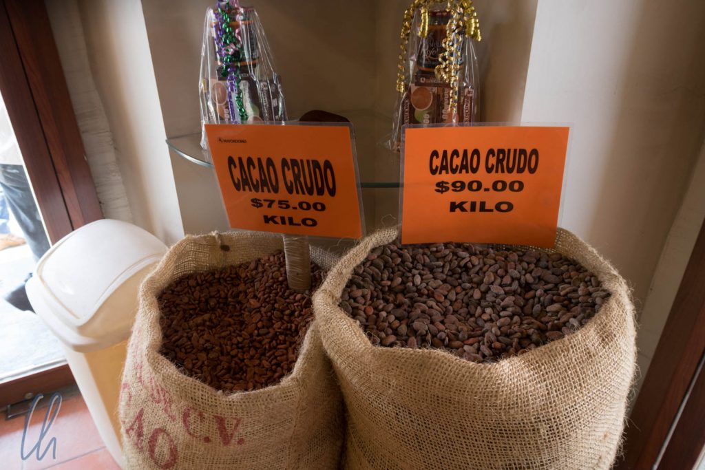 Heute kein Zahlungsmittel mehr aber nicht minder wertvoll: Kakaobohnen