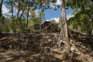 Ruinen und und Bäume sind kaum voneinander zu trennen, einer er weniger besuchten Orte von Palenque