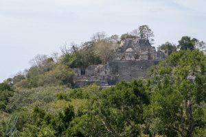 Eine teilweise noch überwucherte Pyramide in Calakmul
