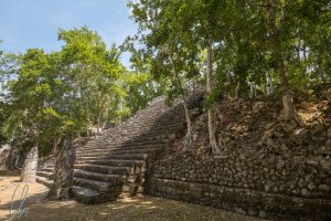 Trotz Ausgrabung, der Dschungel ist immer in Calakmul sichtbar