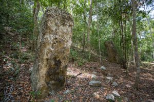 Eine Maya-Stehle auf dem Gebiet von Calakmul