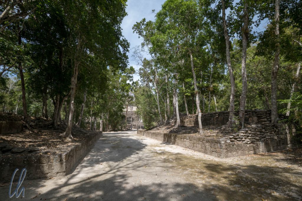 Der Ballspielplatz von Calakmul, die Gewinner wurden den Göttern geopfert