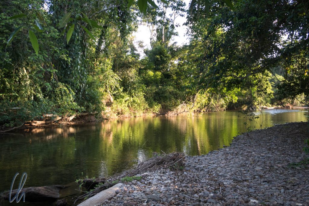 Der Roaring River eignet sich hervorragend zum Baden (hier der Kingfisher-Pool) und zum Tubing