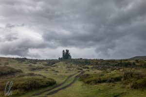 Fast am gleichen Standort aufgenommen: Gut Verhüllt: Der Cotopaxi